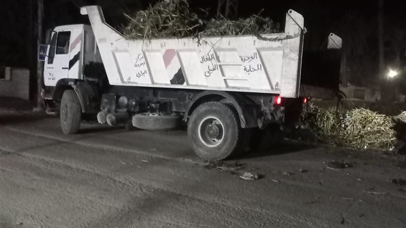 صورة واقعيه