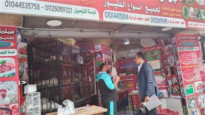 حماية المستهلك يضبط 14 مخالفة للتلاعب بالأسعار في حملات رقابية بالقاهرة