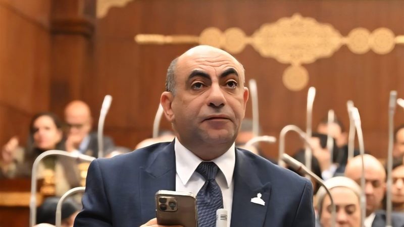 النائب محمد إبراهيم