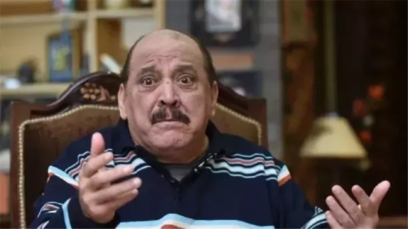 ضياء الميرغني 