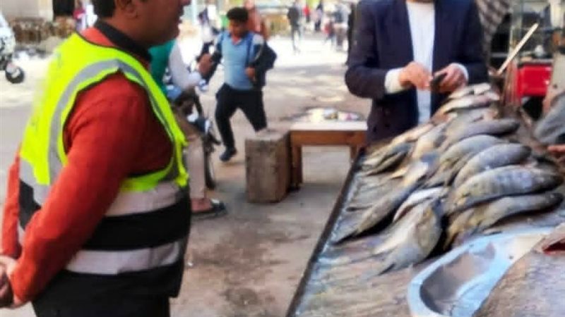 جهود مديرية الطب
