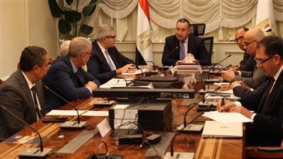 الأعلى للجامعات: لجنة عليا تضع رؤية لخريطة مستقبل سوق العمل