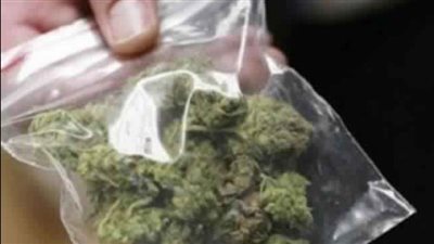 30 جرام .. إحباط محاولة تهريب ماريجوانا مع راكب بريطاني بمطار سفنكس