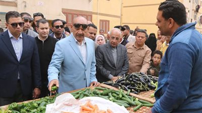 محافظ السويس يتفقد تطوير مدينة السادات ويجري جولة بشوارع الاربعين 