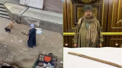ضبط حارس عقار اعتدى على كلاب ضالة بالضرب في الطالبية