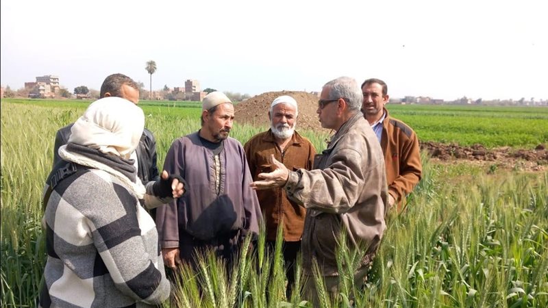 صورة واقعية