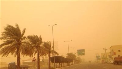 طقس جوزائي متقلب.. طبيب يكشف لنيوز رووم خطورة الجو على مرضى الحساسية
