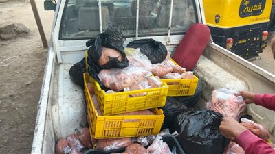 ضبط 250 كيلو لحوم فاسدة ومجمدات مجهولة المصدر بالمنوفية