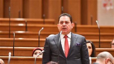نائب: كلمة الرئيس لحفل إفطار الأسرة المصرية تأكيد على الوقوف خلف الدول العربية