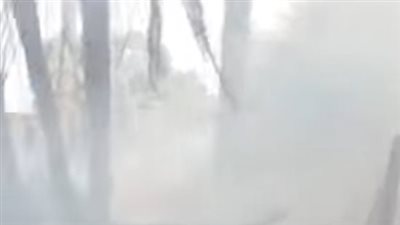 السيطرة على حريق بزراعات النخيل في قرية الزنيقة بالأقصر قبل امتداده للمنازل 
