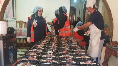 محافظ أسوان يتابع تنفيذ الأنشطة والمبادرات التوعوية بقرى 