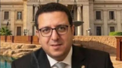 تأييد حكم حبس المحامي علي أيوب 3 سنوات بتهمة سب وقذف وزيرة الثقافة