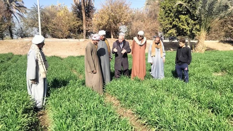 جانب من الانشطة الارشادية