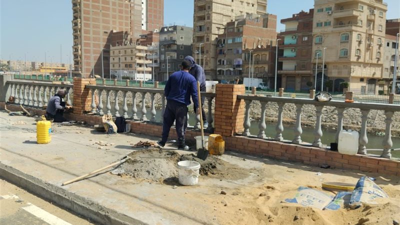 كورنيش المحلة 