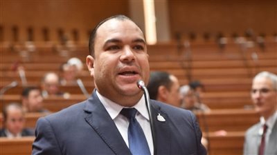 برلمانية المؤتمر : الترشيد حاليًا ضروري لتجنب أي أزمة طارئة في الكهرباء|خاص 