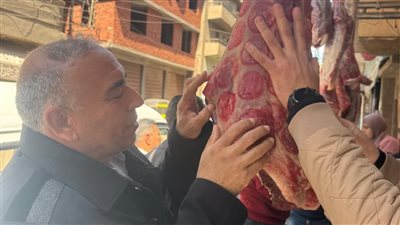 محافظ الغربية يتابع جهود مديرية الطب البيطري استعدادًا لعيد الفطر
