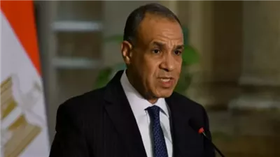 عبد العاطي يؤكد ضرورة تضافر الجهود الإقليمية والدولية لتهدئة التصعيد بالمنطقة