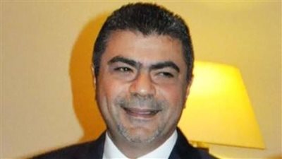 أيمن الجميل: نؤيد جميعا الرئيس السيسى فى إدانة الاعتداءات على الدول العربية