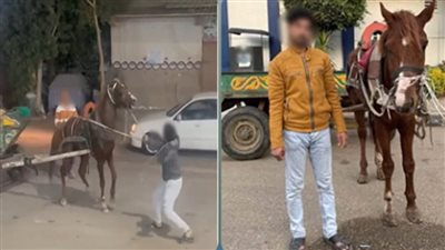 الأمن يكشف ملابسات فيديو التعدي على حصان في طوخ     
