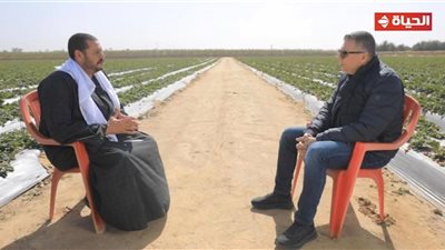 من نصف فدان إلى تصدير الفراولة للخارج.. قصة نجاح الحاج رفاعي