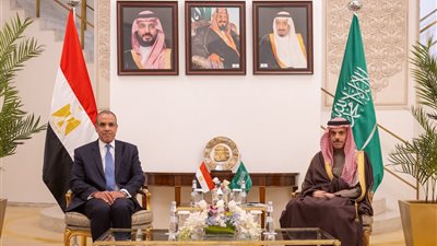 وزيرا خارجية مصر والسعودية يجددان رفضهما الاعتداءات الإيرانية على دول الخليج