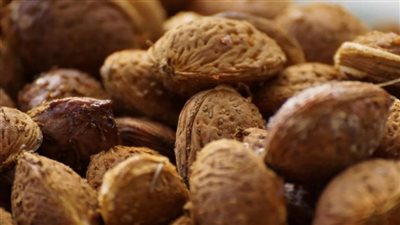 لقوة العقل والجسم… اللوز يوميا يحميك من مشاكل صحية كثيرة