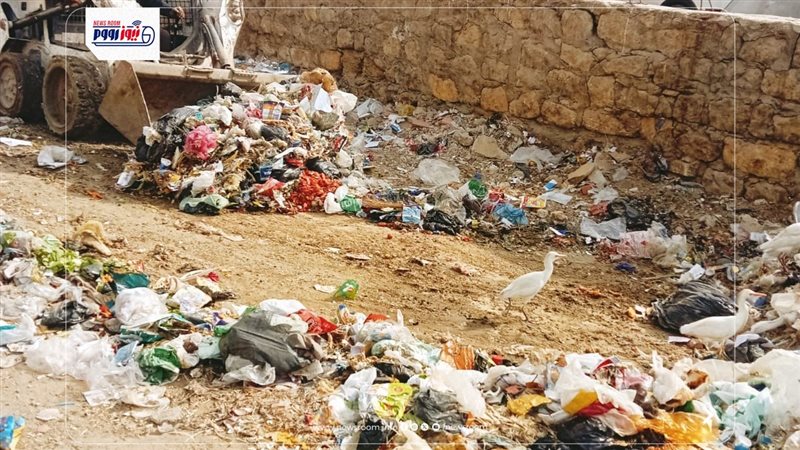 حملات نظافة 