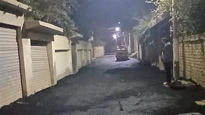 بتكلفة ٦ مليون و ٧٥٠ ألف جنيه .. الإنتهاء من رصف الشوارع الداخلية بالقنايات