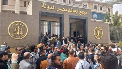 محام عن قانون الأحوال الشخصية: «يجب إصلاحه ومصلحة الطفل فوق كل اعتبار»  