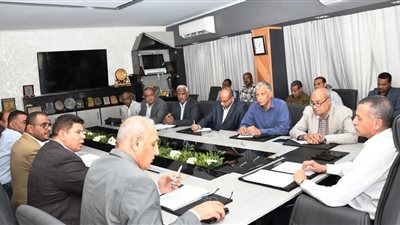 محافظ أسوان يوجه لوضع الحلول الفنية لإنتظام التيار الكهربائى ببعض محطات الرى 