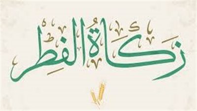 هل من نسي إخراج زكاة الفطر عليه كفارة؟.. أمين الفتوى يجيب