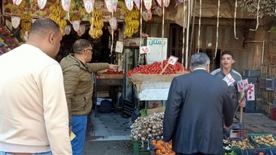 محافظ الدقهلية يتفقد شوارع غرب المنصورة لمتابعة رفع الإشغالات