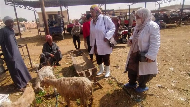 جانب من الحملة 