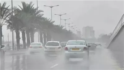 «الشتا راجع وهتمطر تاني».. الأرصاد تحذر من الأيام المقبله 