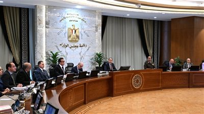 التصدي لأية محاولات للتعدي على أملاك الدولة بتفعيل غرف الأزمات بجميع الوزارات