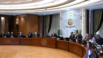 الحكومة توافق على تعديلات قانون الكهرباء لتعزيز الطاقة ورفع كفاءة الاستخدام