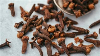 هل القرنفل مفيد لمرضى الربو؟ كل ما تحتاج معرفته عن فوائده 	