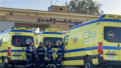 وصول دفعة جديدة من الجرحى عبر معبر رفح.. ومصر تواصل دعم غزة|فيديو