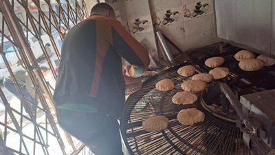 محافظ الغربية يتابع تكثيف الرقابة على منظومة الخبز البلدي