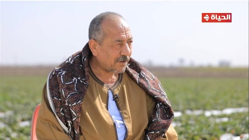 الحاج علي