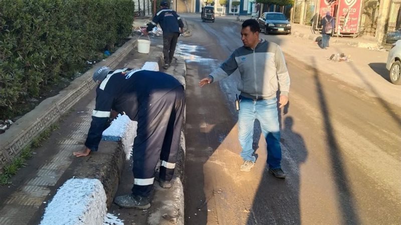 جانب من الحملة 