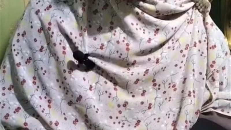 الام المثالية بدمياط