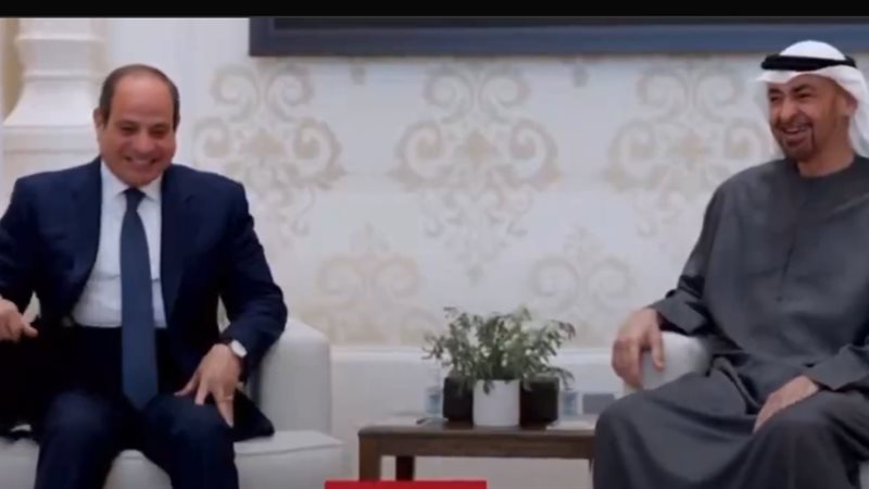 الرئيس عبد الفتاح