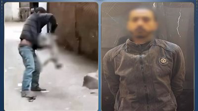 يعانى من اضطرابات عقلية.. القبض على شخص عذب قطة بالقليوبية حتى الموت