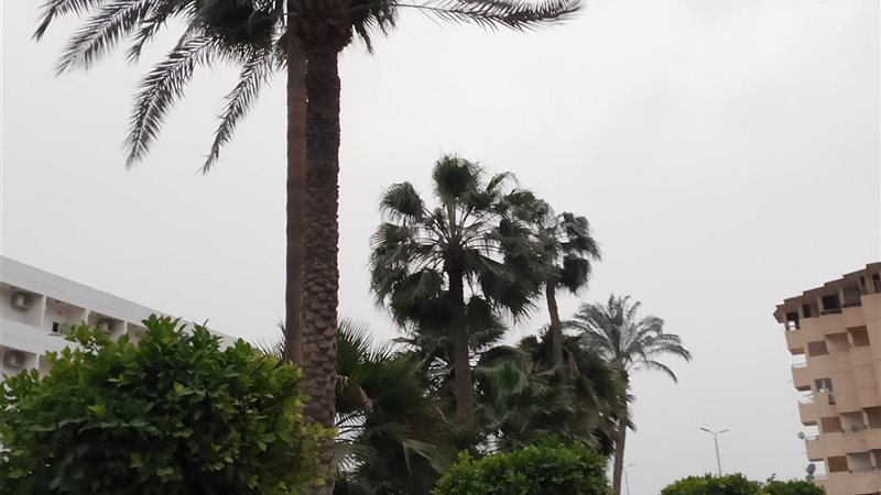 العاصفه 