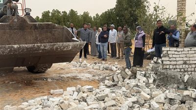 إزالة فورية التعديات علي الاراضي الزراعية بقرية محمد عبده بحي فيصل بالسويس 