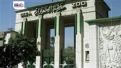 موعد افتتاح حديقة الحيوان بالجيزة.. هل تعمل خلال عيد الفطر؟ (التفاصيل الكاملة)