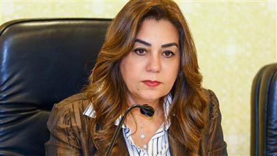 وزيرة التنمية المحلية تعتمد المخططات التفصيلية لمدن رأس البر وباريس والهرم 