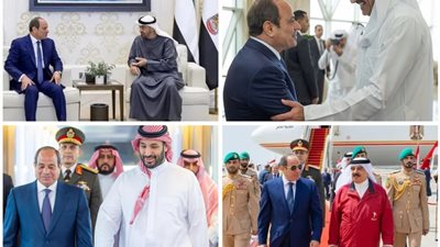 أحمد أبو هشيمة يثمن زيارة الرئيس السيسي للخليج: «تعزز من قوة الموقف العربي»