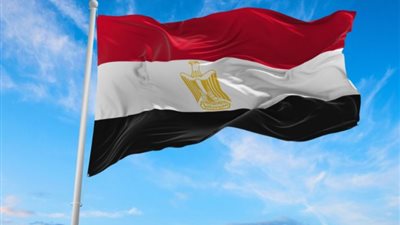 مصر تؤكد تضامنها مع مملكة البحرين  لحماية أمنها وصون مقدراتها